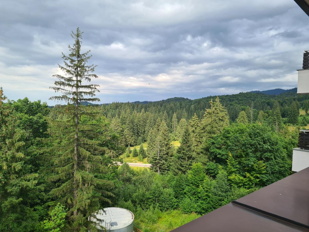 Fabulous Panorama Silver Mountain Apartments Poiana Brasov Extérieur photo